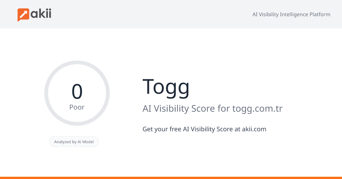 Togg AI Visibility Score