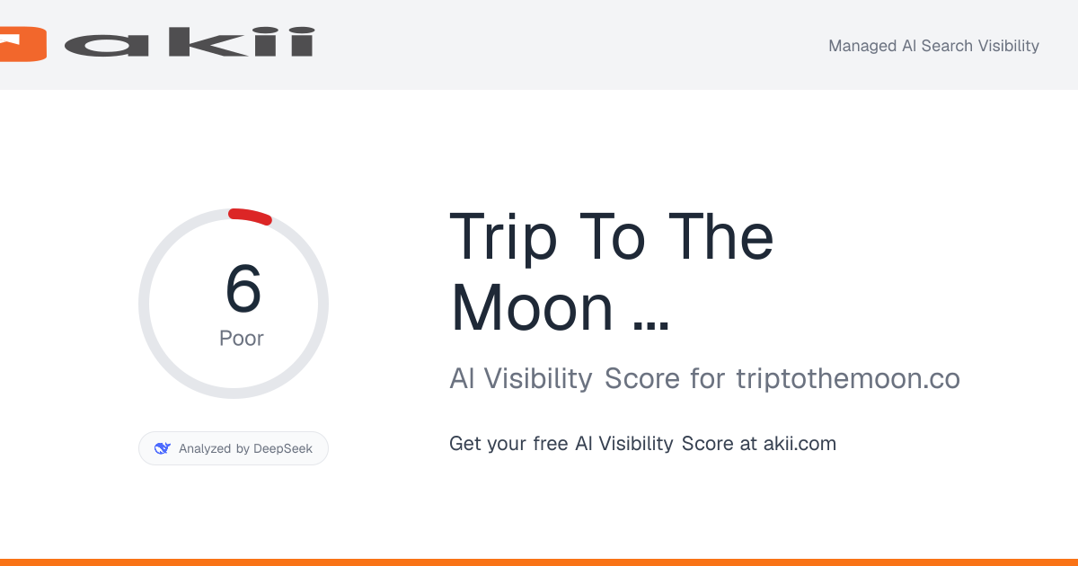 Trip To The Moon Marketing AI Visibility Score preview