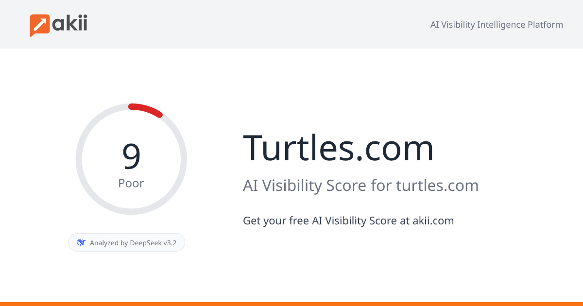 Turtles.com AI Visibility Score
