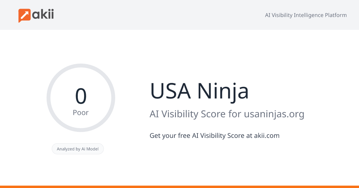 USA Ninja AI Visibility Score