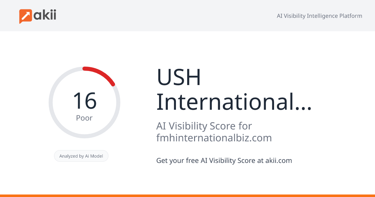 USH International Business Consultancy F.Z.E. AI Visibility Score