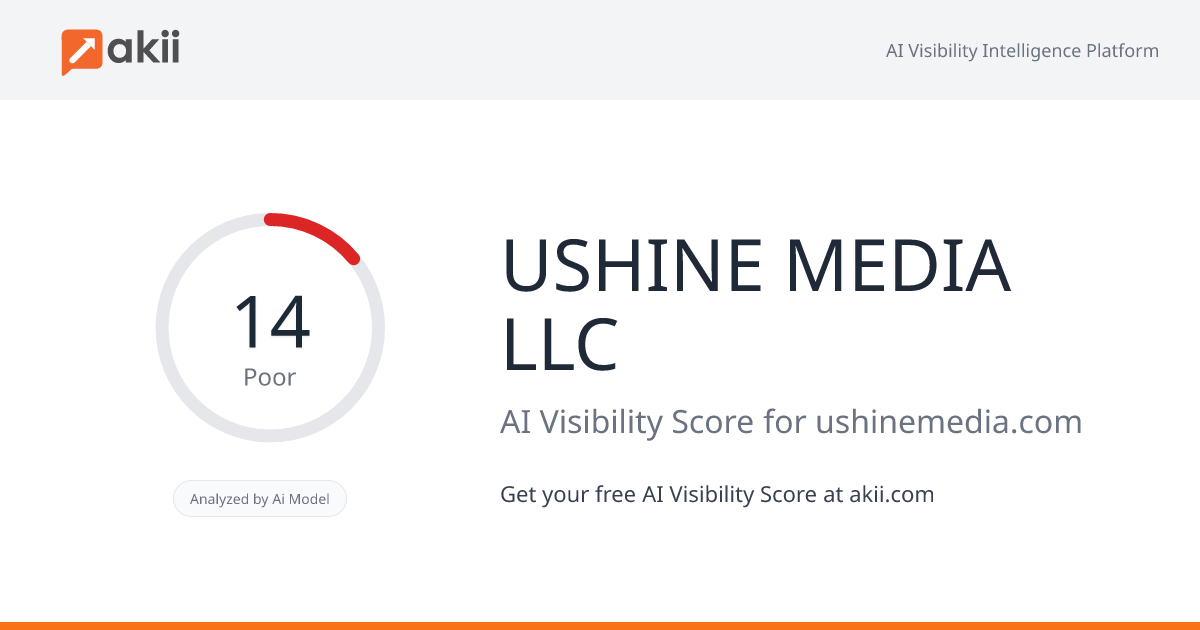 USHINE MEDIA LLC AI Visibility Score