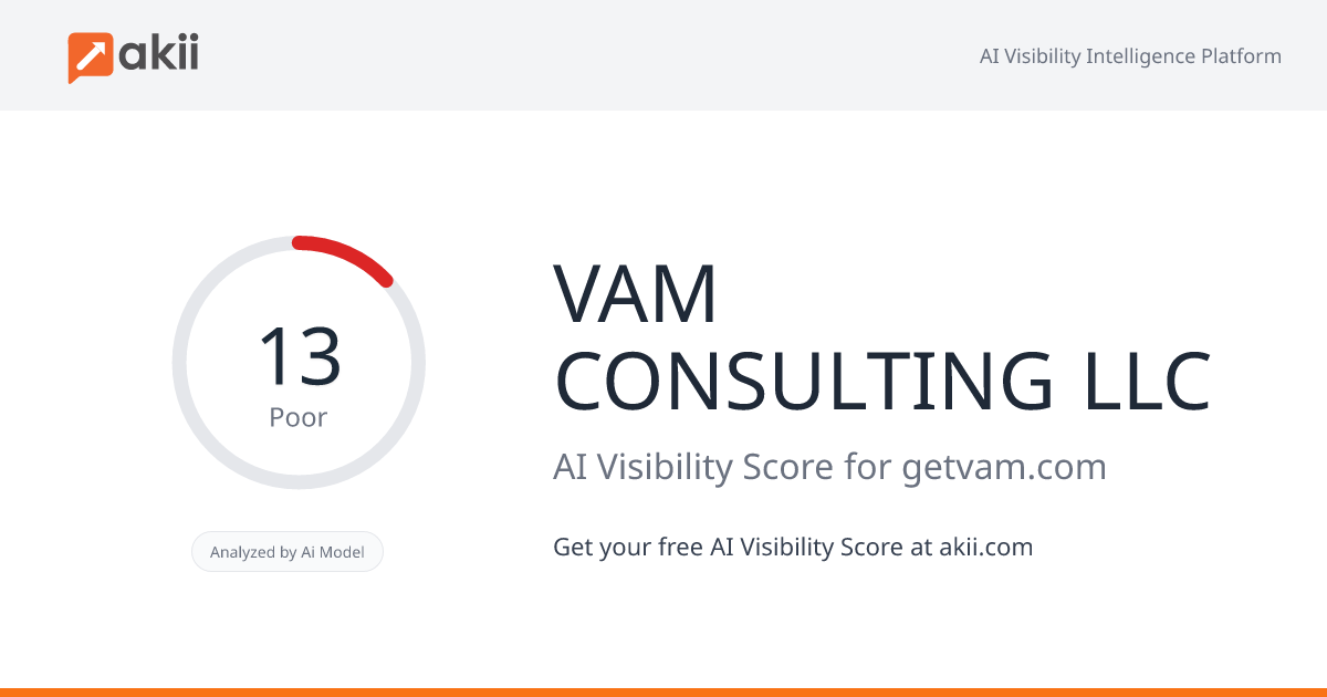 VAM CONSULTING LLC AI Visibility Score