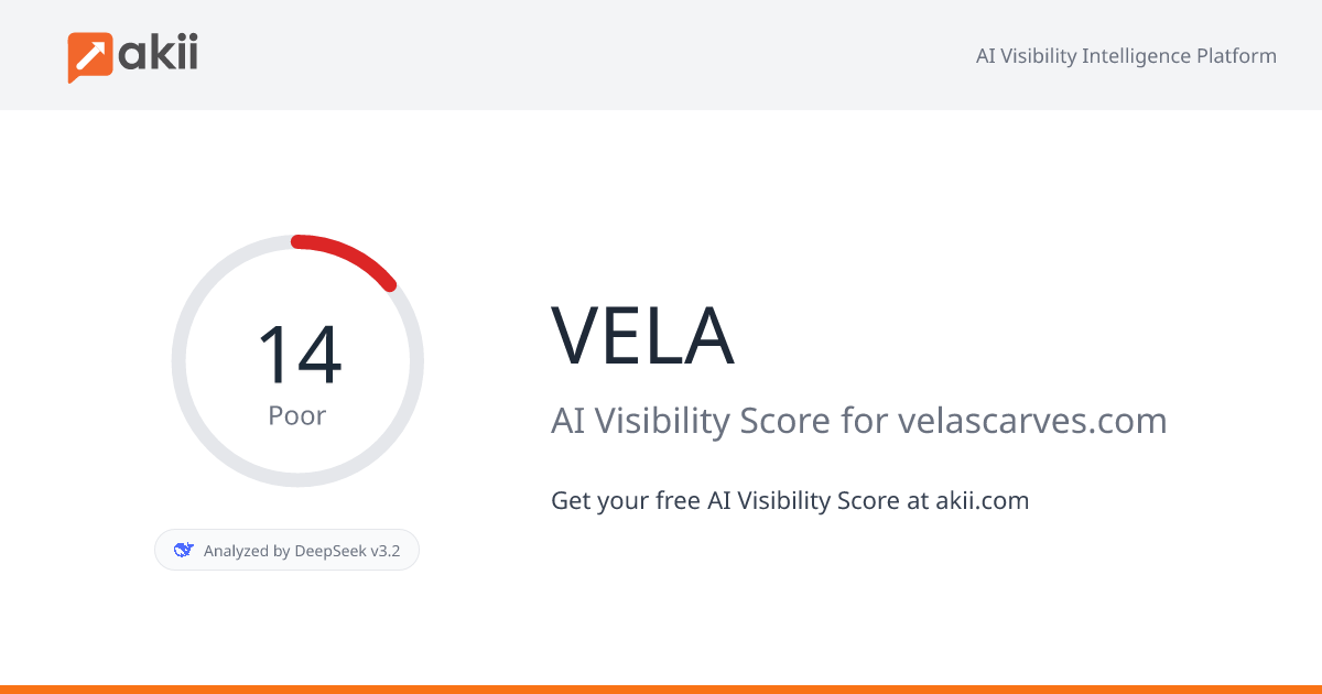 VELA AI Visibility Score