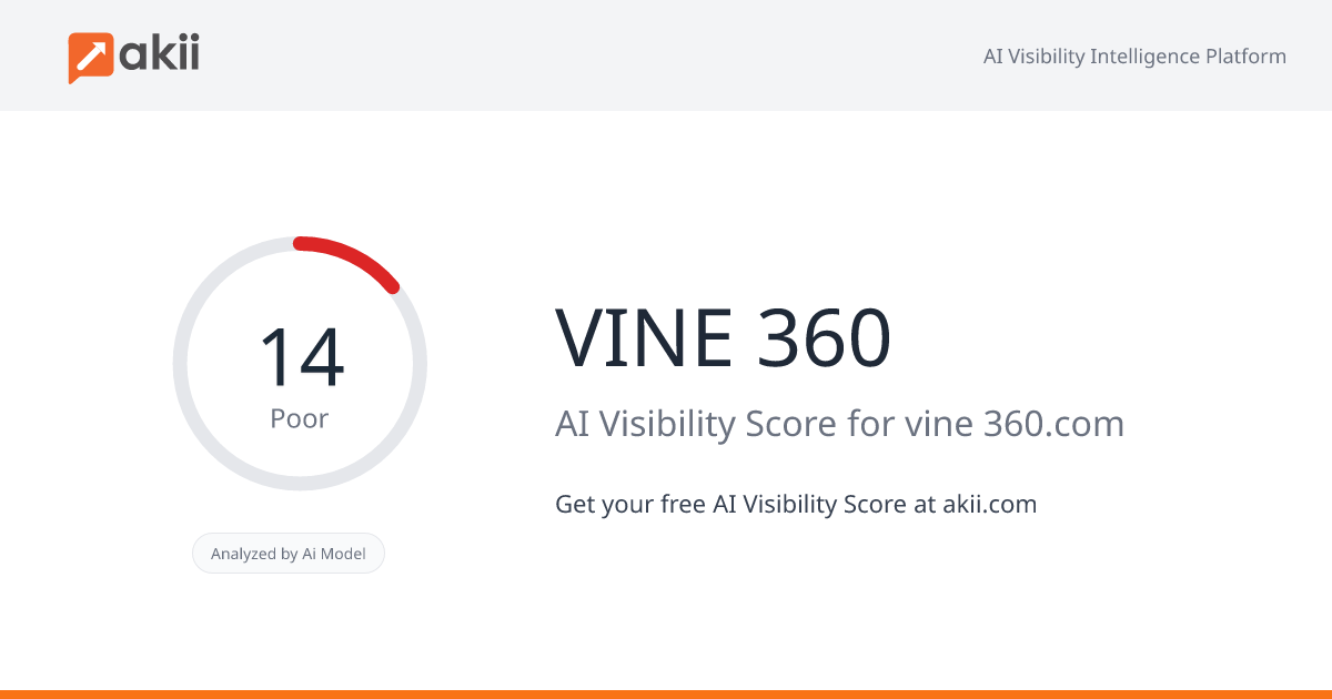VINE 360 AI Visibility Score