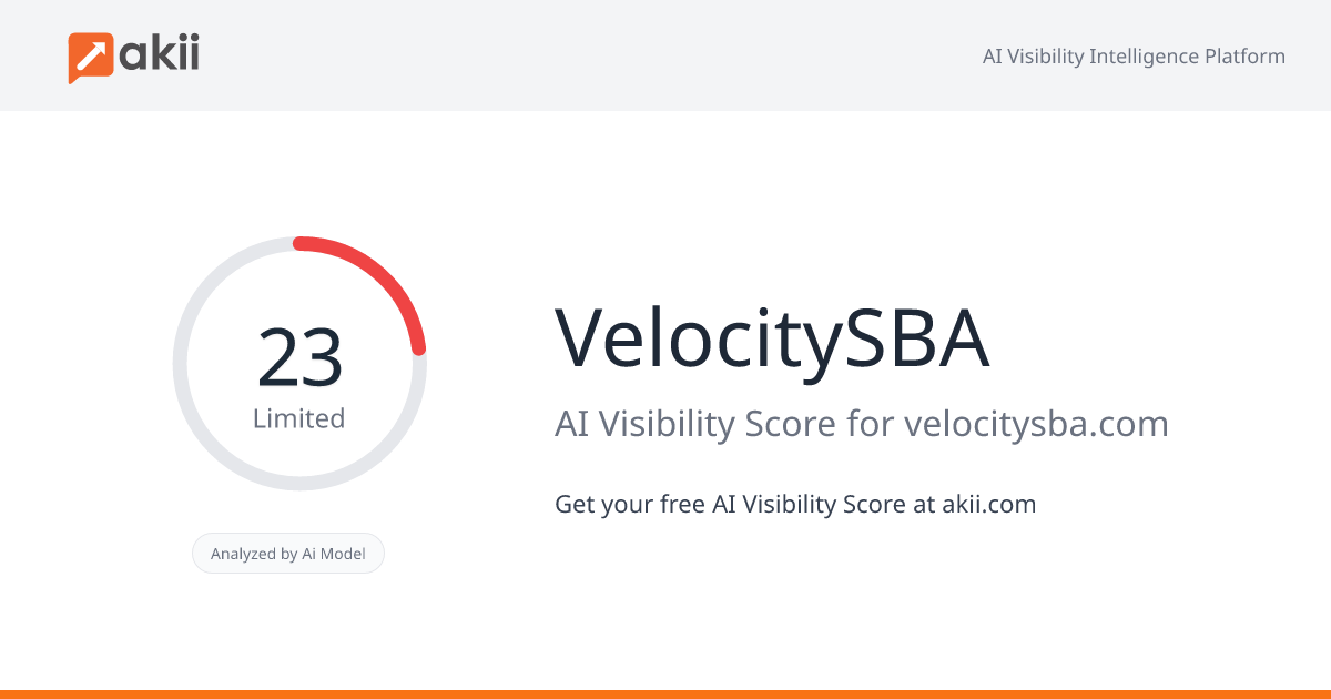 VelocitySBA AI Visibility Score