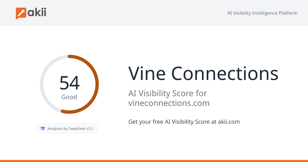 Vine Connections AI Visibility Score