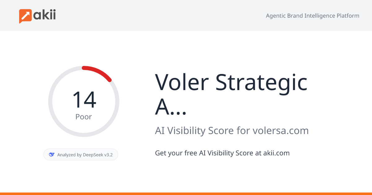 Voler Strategic Advisors AI Visibility Score