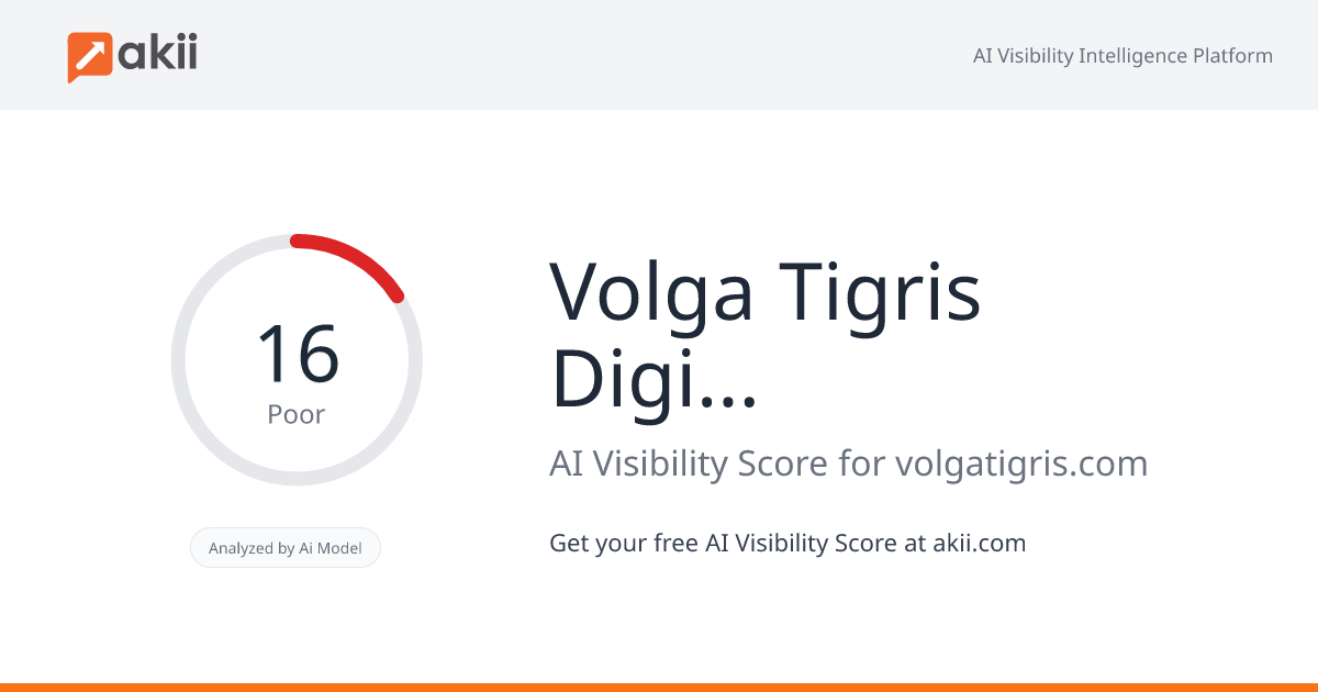 Volga Tigris Digital Marketing Agency AI Visibility Score