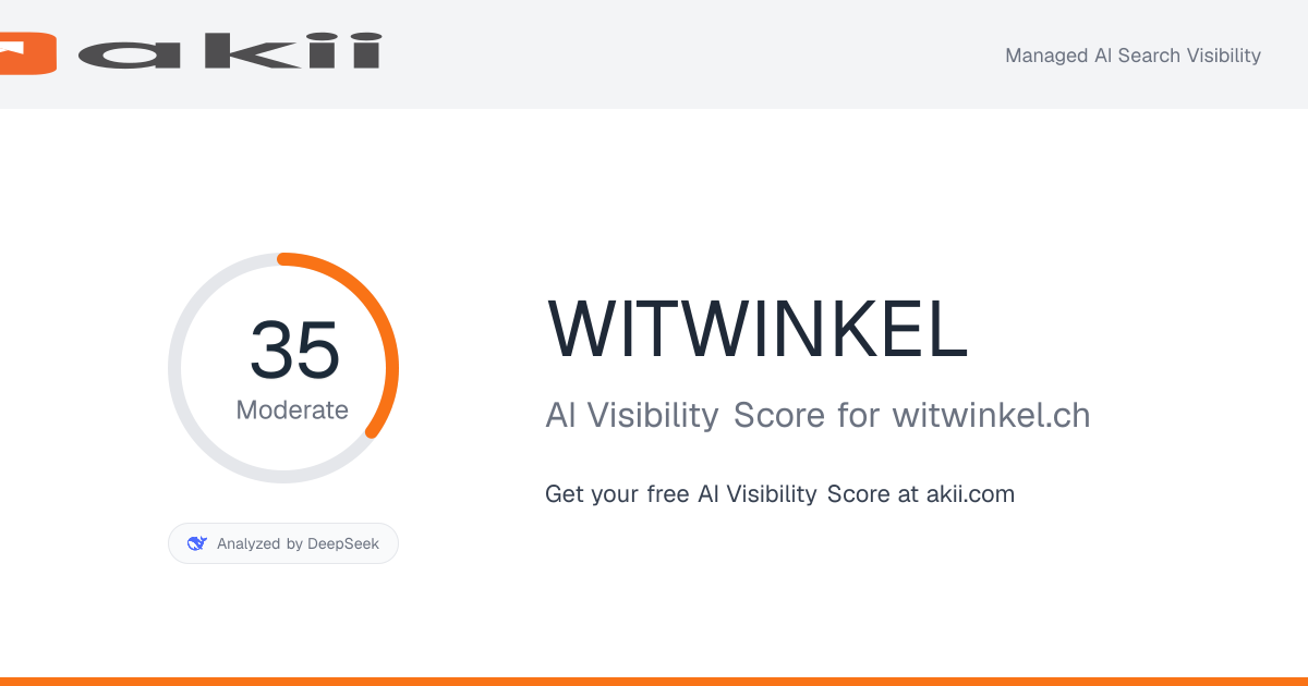 WITWINKEL AI Visibility Score preview