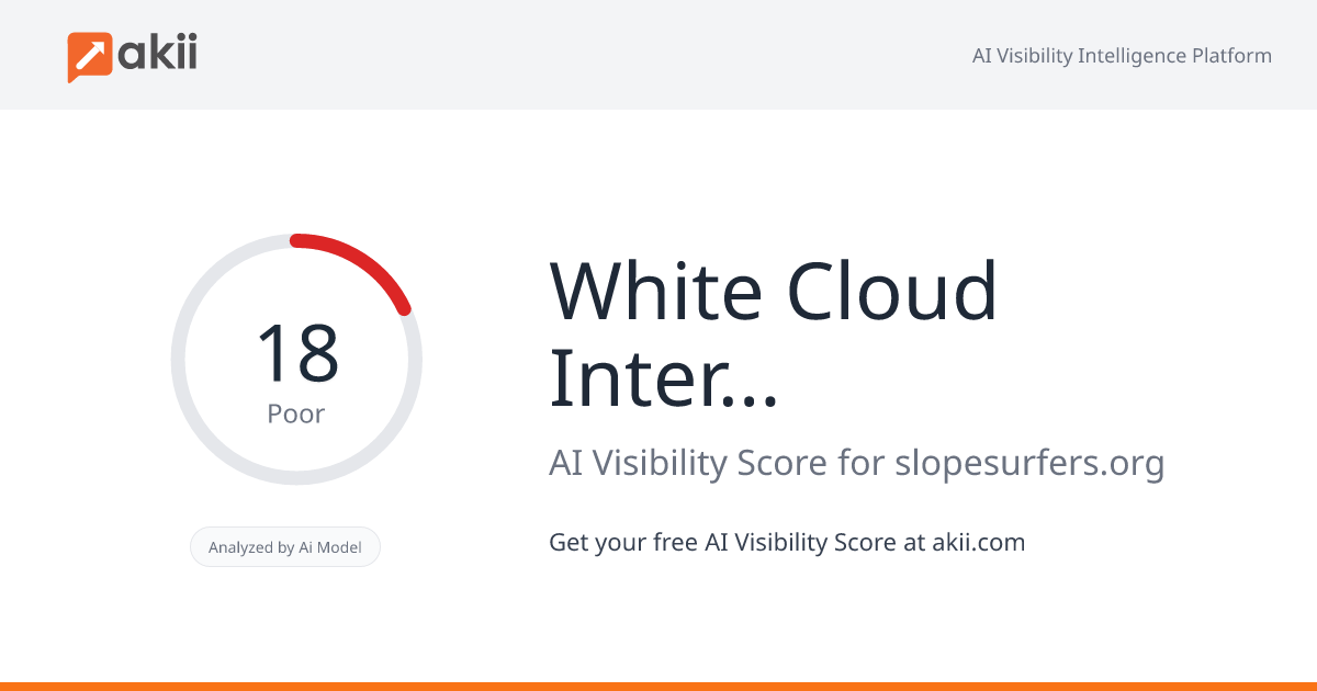 White Cloud International Trading LLC AI Visibility Score