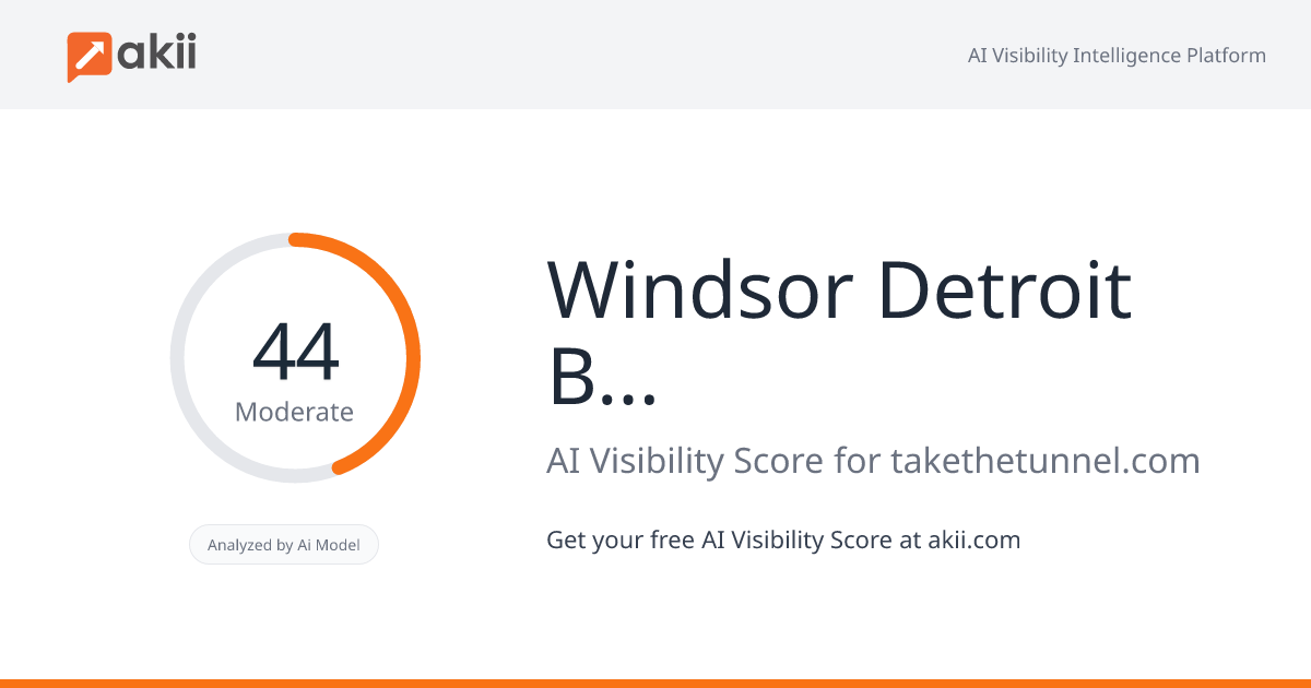 Windsor Detroit Borderlink Limited AI Visibility Score