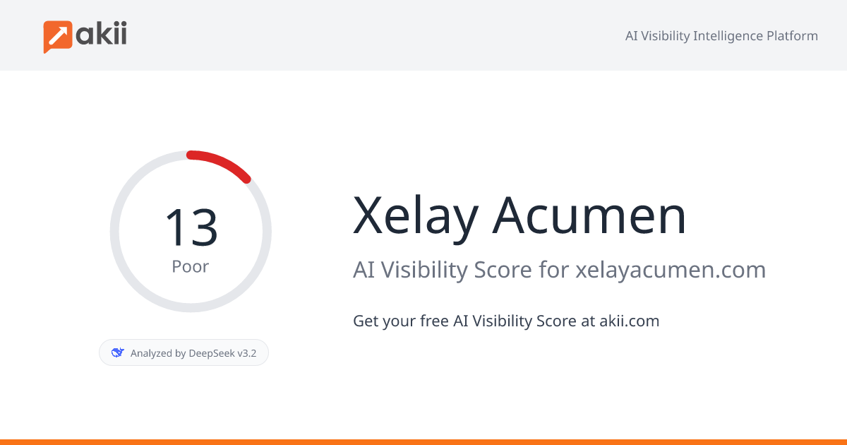 Xelay Acumen AI Visibility Score