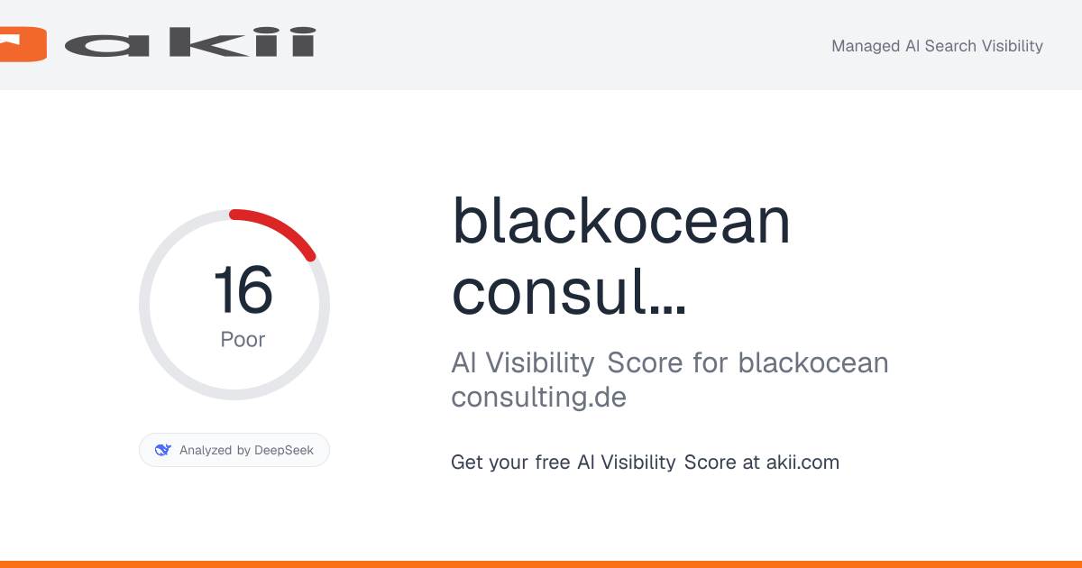 blackocean-consulting.de AI Visibility Score preview