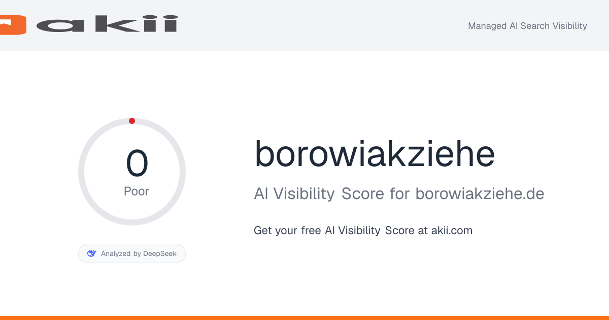 borowiakziehe AI Visibility Score preview