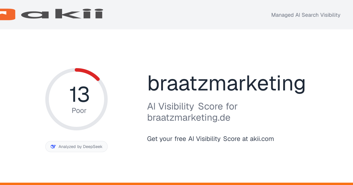 braatzmarketing AI Visibility Score preview
