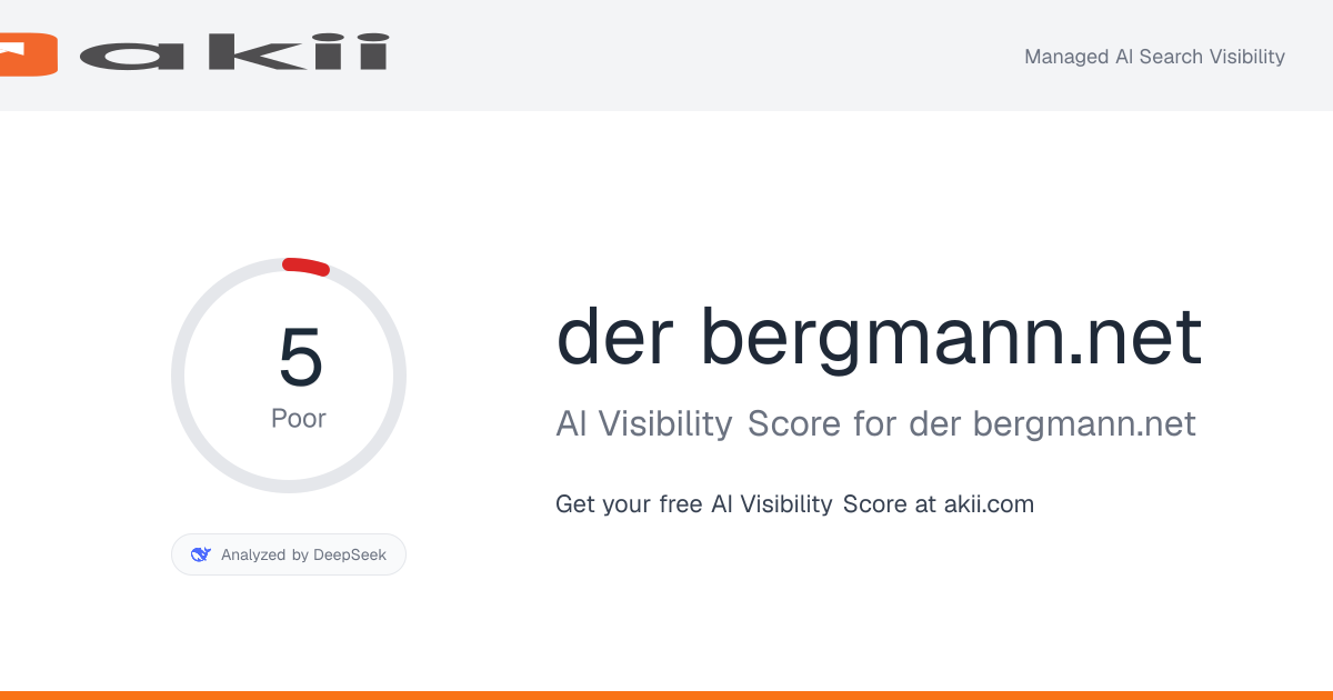 der-bergmann.net AI Visibility Score preview