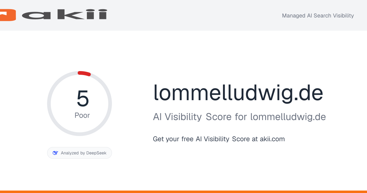 lommelludwig.de AI Visibility Score preview