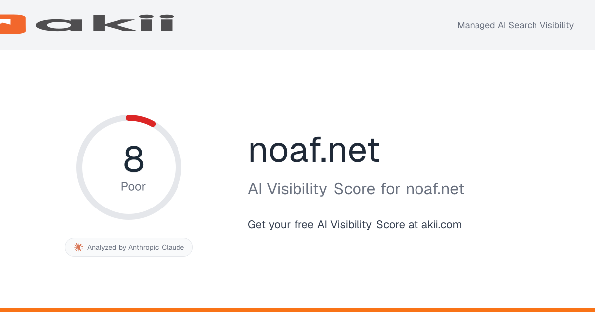 noaf.net AI Visibility Score preview