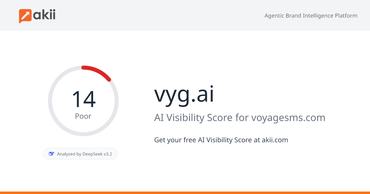 vyg.ai AI Visibility Score