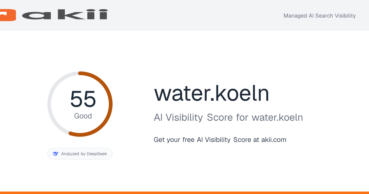 water.koeln AI Visibility Score preview